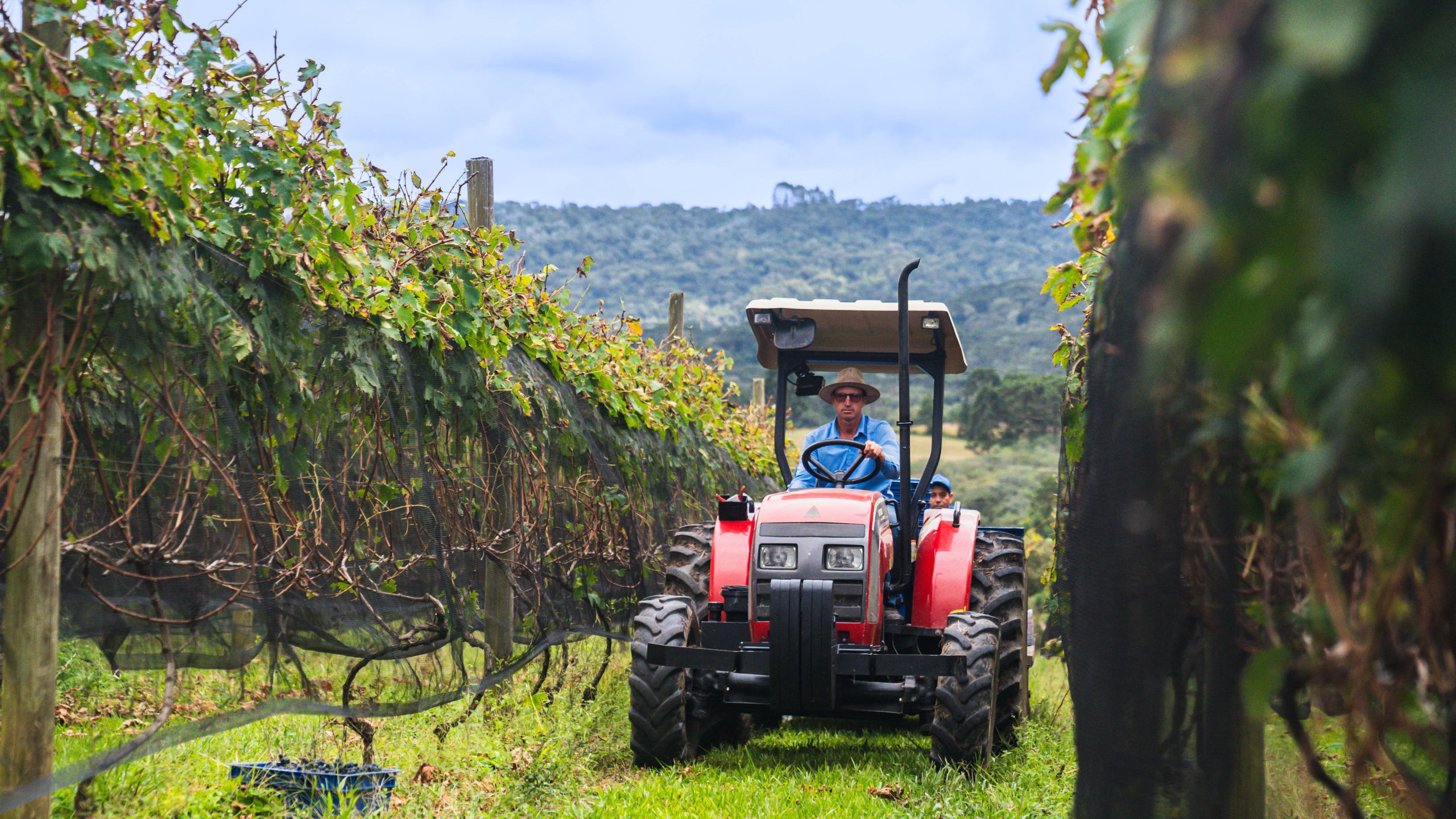 Governador lança o Coopera Agro SC com R$ 1 bilhão em financiamentos para produção integrada